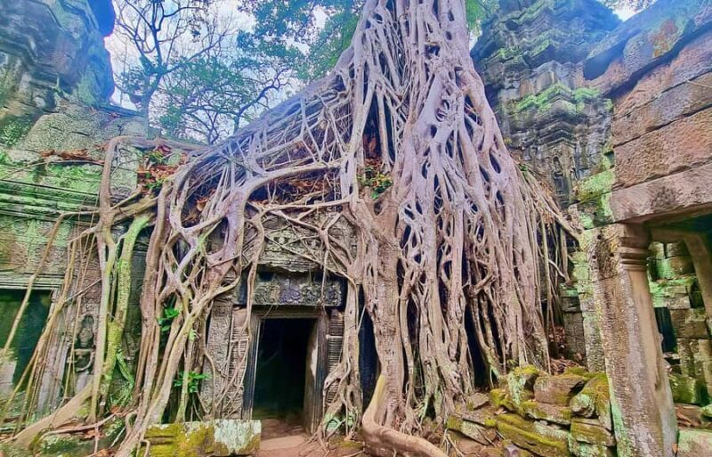 Angkor: The Jungle Temple tour by Vintage Jeep - An In-depth Look at the Vintage Jeep Jungle Temple Tour