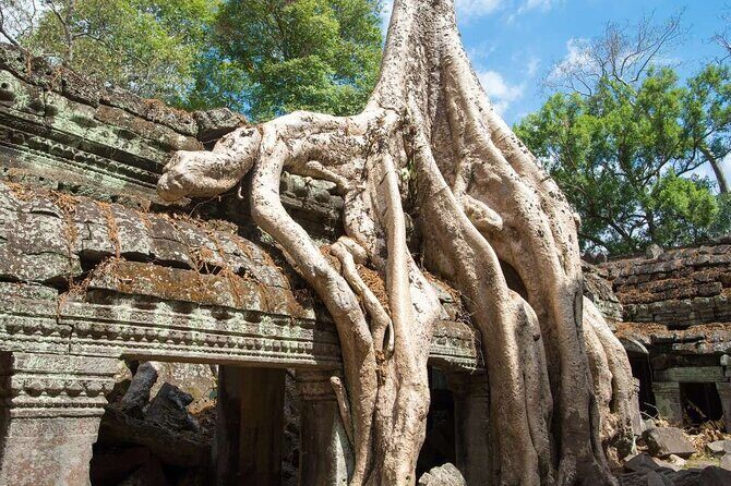 Angkor Thom Ta Prohm and Sunset in Angkor Wat Golden Hour Tour - FAQ