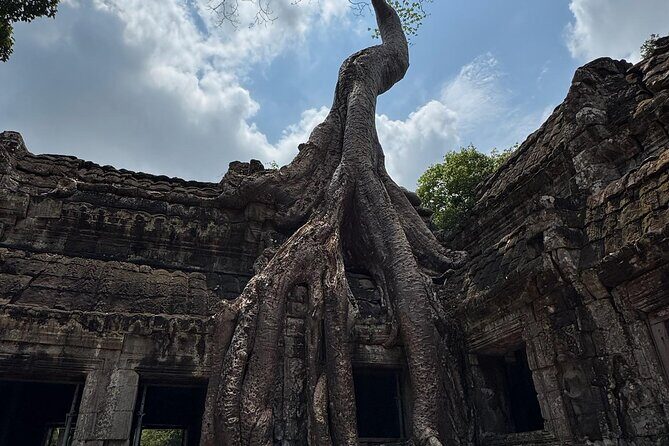 Angkor Wat 1-Day Exploration by Remok or Tuk Tuk - Authentic Experiences and Insider Tips