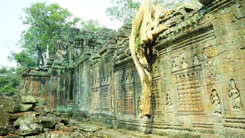 Angkor Wat: 3-Days Private Angkor Wat tour for Family - Day 2: The Iconic Temples and Jungle Mysteries