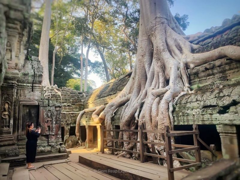 Angkor Wat and nearby temples day tour - Angkor Wat: scale, carvings and a guided start