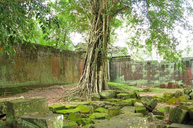 Angkor Wat and Royal Temples Private Tour From Siem Reap - Traveler Reviews