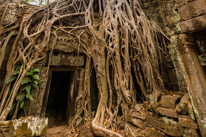 Angkor Wat Day Tour by a Private Air-conditioned Car - Itinerary Overview