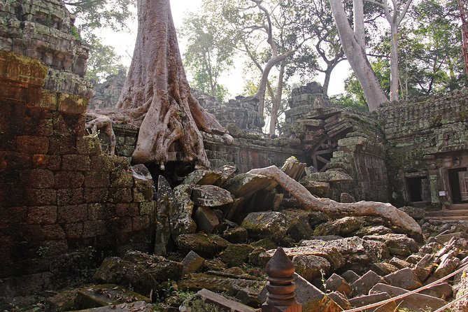 Angkor Wat Day Tour by a Private Air-conditioned Car - Common Questions