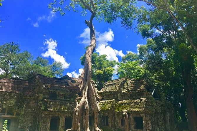 Angkor Wat Full Day Private Tour With Watching Sunset at Temple - Common Questions