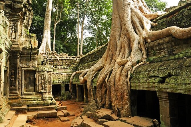 Angkor Wat Full Day Small Group With Sunset & Tour Guide - The Sum Up