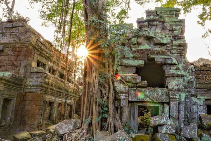 Angkor Wat: Full-Day Temples Small Group Tour - The Details That Make This Tour Shine