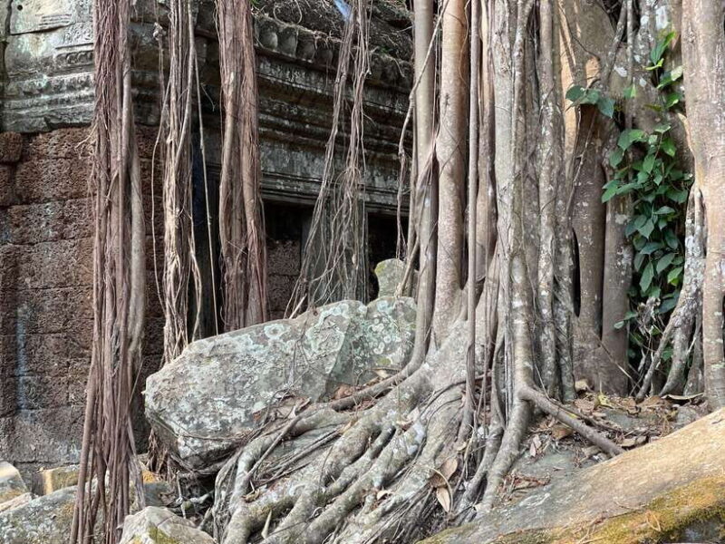 Angkor Wat Full Day Tour in Siem Reap Small-Group - Final Thoughts
