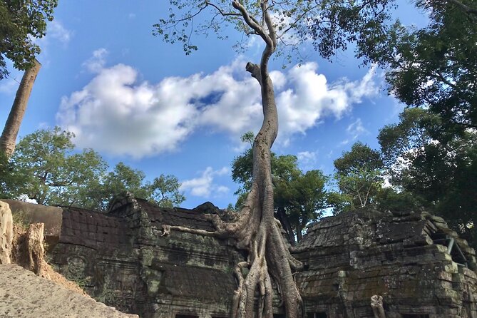Angkor Wat Private Tour 1day - Frequently Asked Questions