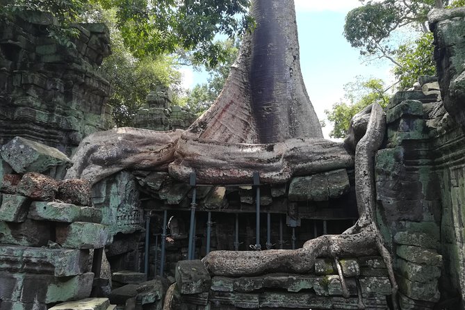 Angkor Wat Small Circuit Tour - Operator Information