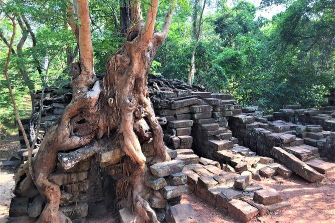 Angkor Wat Sunrise Half Day by Join-in Tour - Final Touches: Returning to Your Hotel