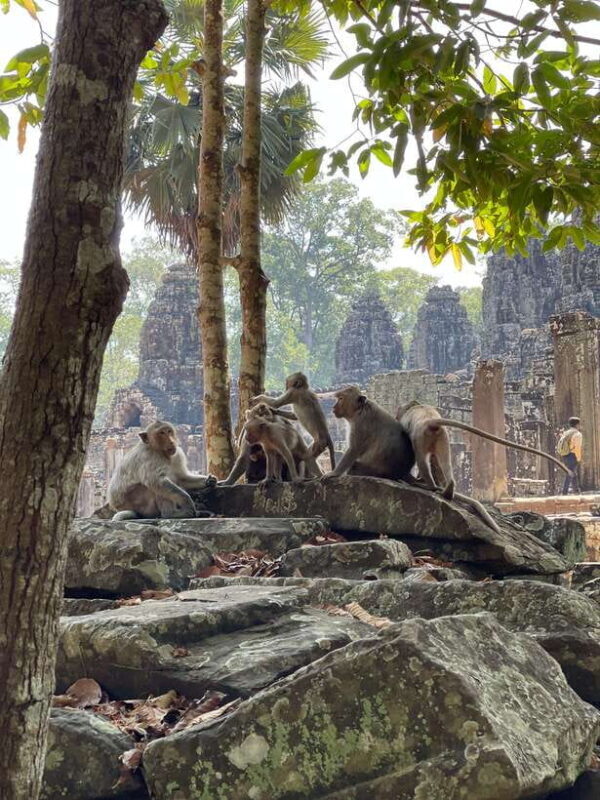 Angkor Wat Sunrise Private Full Day Tour - FAQ