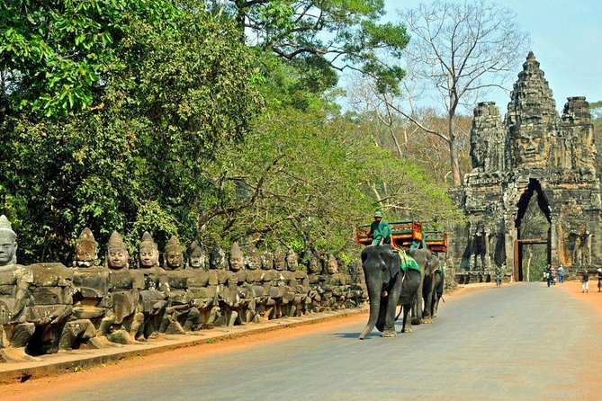 Angkor Wat Sunrise Tour - Questions and Terms