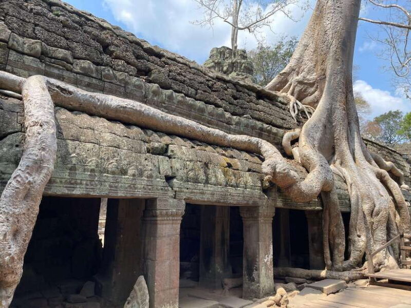 Angkor Wat Sunrise Tour in Siem Reap Small-Group - The Itinerary: What You Can Expect