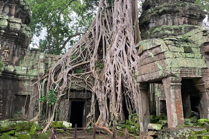 Angkor Wat Sunset Tour - Cancellation Policy
