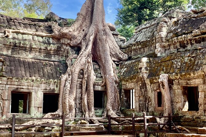 Angkor Wat Sunset Tour - Traveler Reviews