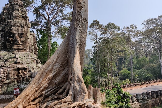 Angkor Wat Temple Tour With Own Tuk Tuk Driver - Tips for Maximizing Your Experience