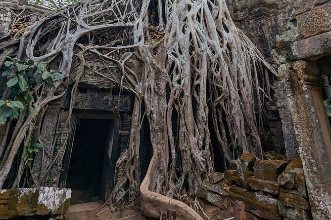 Angkor Wat Temple Tour With Own Tuk Tuk Driver - How to Book Your Angkor Wat Temple Tour
