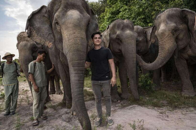 Angkor Wat Temples & Kulen Elephant Forest Day Tour - Detailed Breakdown of the Experience