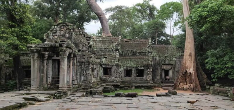 Angkor Wat Temples Tour by Car with Optional Sunrise - Who Should Consider This Tour?