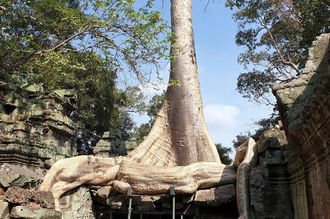 Angkor Wat Tour From Siem Reap Small-Group - Traveler Reviews
