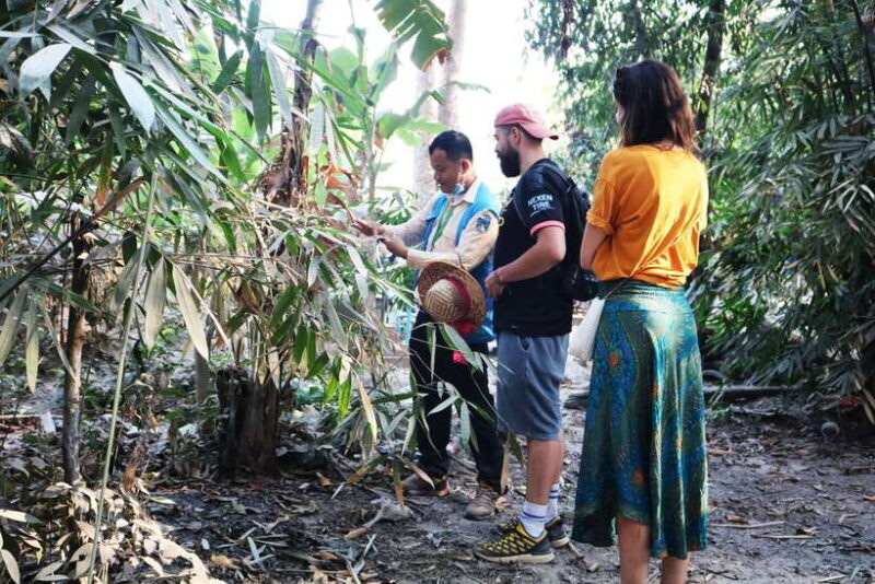 Angkor Wat: Tuk Tuk and Walking Tour - Good To Know