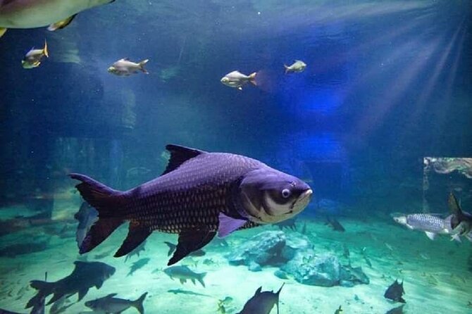 Angkor Wildlife & Aquarium Halfday Tour - Booking and Cancellation Policy