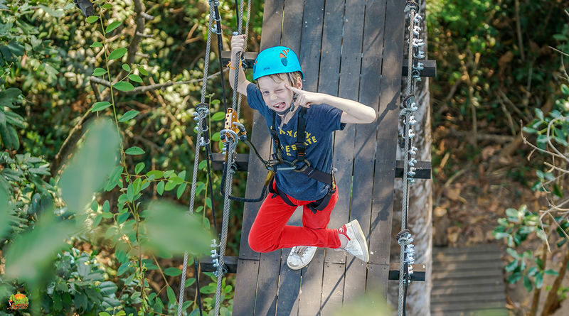 Angkor Zipline - Silver or Gold: choose the right amount of canopy time