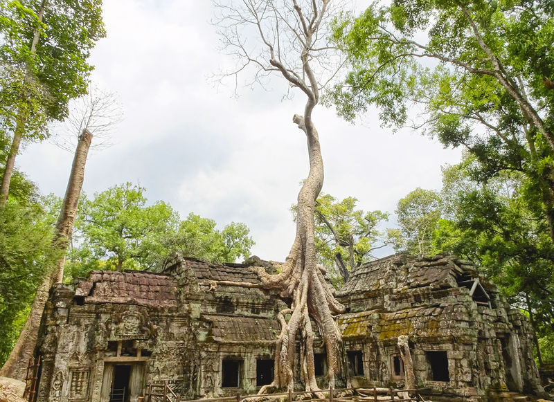 Angkot Wat Full-Day Sunrise or Sunset Tour & Guide from Siem Reap - Should you book it?