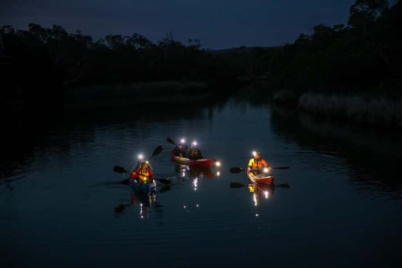 Anglesea: Night Kayaking Tour Under the Stars - An In-Depth Look at the Anglesea Night Kayaking Tour