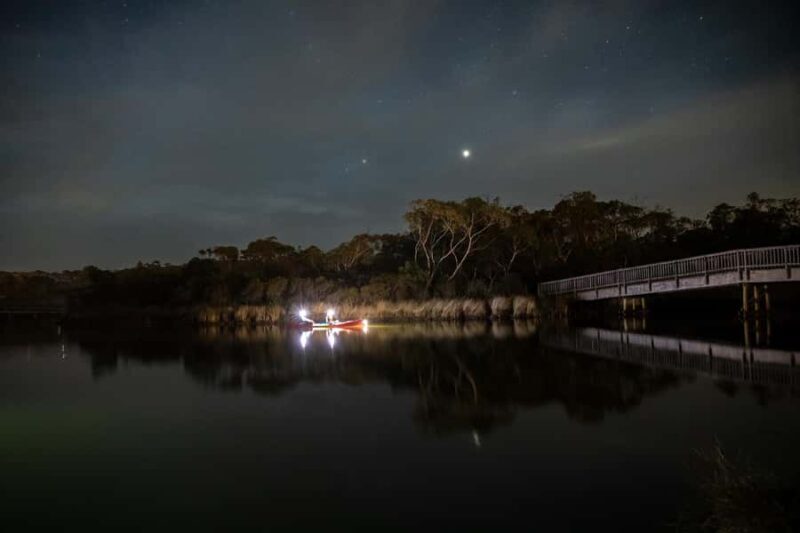 Anglesea: Night Kayaking Tour Under the Stars - Meeting Point and Practical Details