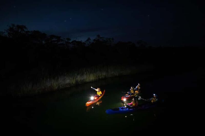 Anglesea: Night Kayaking Tour Under the Stars - On the Cost and Booking