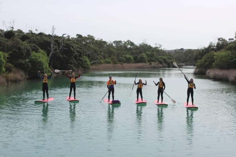 Anglesea: Stand-Up Paddleboard Lesson on the River - The Detailed Itinerary: What to Expect