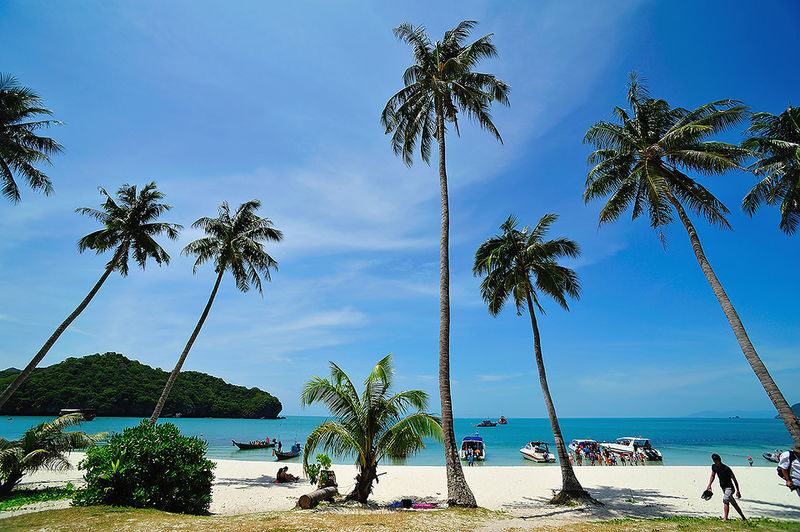 Angthong National Park Speedboat Tour: Snorkeling, Kayaking & Lunch - A day trip built around the islands