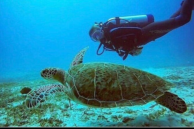 Anguilla Based: PADI Discover Scuba (Introductory Dive) - Good To Know