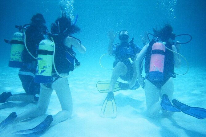 Anguilla Based:Complete your PADI Open Water Dives 1 & 2 with us - Good To Know