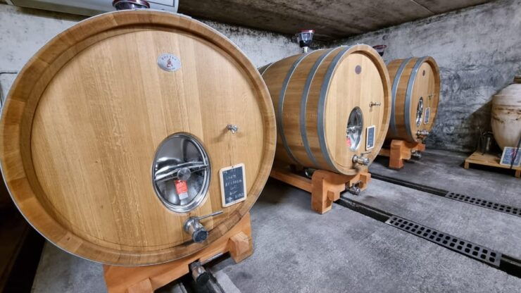 Aniane: Château Capion Wine Tasting Experience - Tasting Details