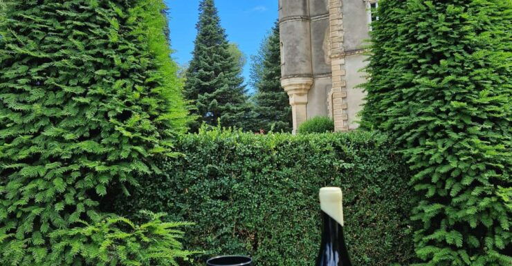 Aniane: Discover the Art of Blind Tasting at Château Capion - Booking Information