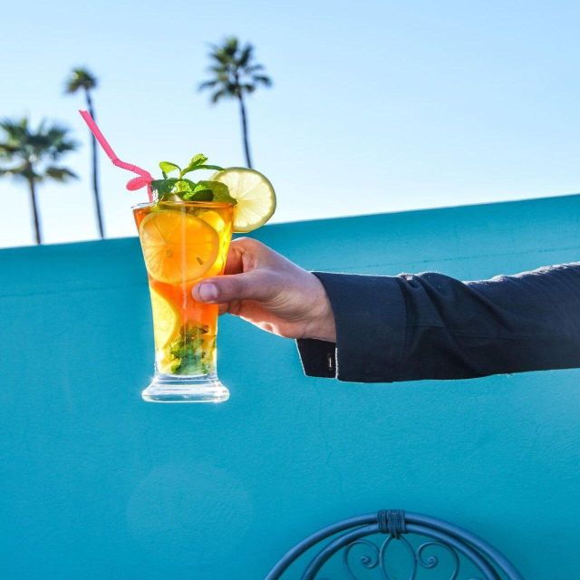 Anima Garden André Heller's Ticket Half-Day Visit and Camel - Booking Details