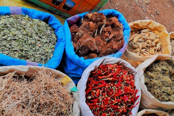 Anima Garden & Ourika Valley and Berber Villages Day Trip - Booking and Cancellation