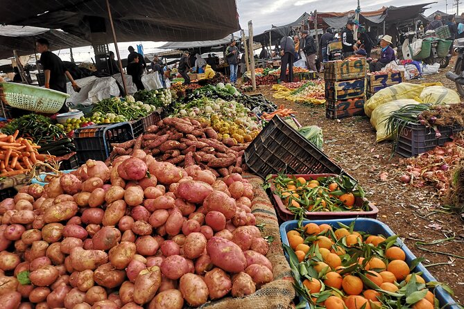 Anima Garden & Ourika Valley and Berber Villages Day Trip - Directions