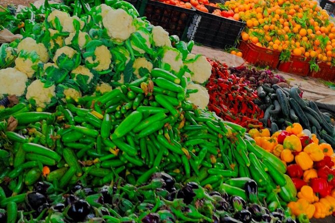 Anima Garden & Ourika Valley and Berber Villages Day Trip - Frequently Asked Questions