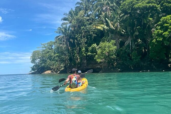 Animal Adventure in the Jungle With Kayak in the River and in the Sea - Jungle Exploration