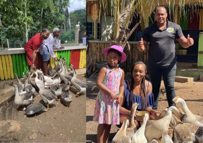Animal & Bird Farm with Private Transport - A Closer Look at the Tour Experience