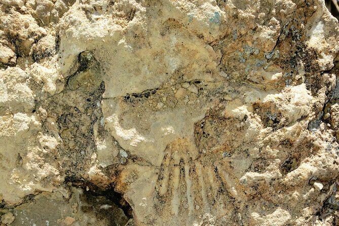 Animal Petting and Sunset Hike in Las Vegas - Meeting Point and Time