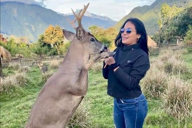 Animalpark | Theme Park | Tours | Naturally Fun - Cancellation Policy