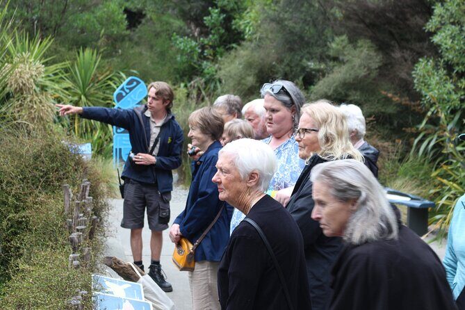 Animals of Aotearoa Wellington Zoo Tour - Introduction
