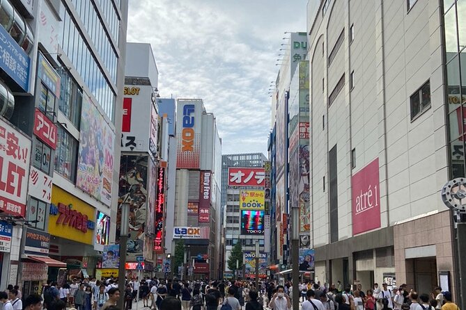 Anime, Manga, Game & Maid Cafe Tour in Akihabara - The Sum Up