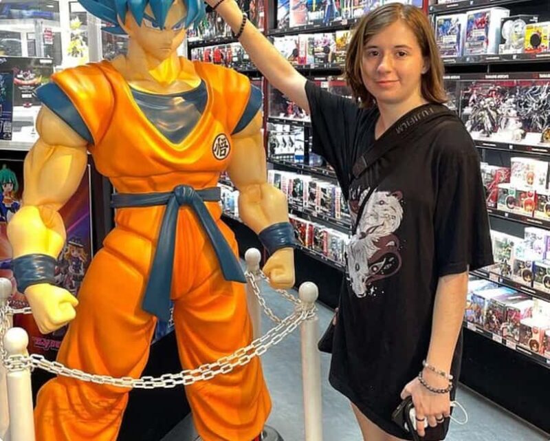 Anime & Manga Lovers Akihabara Tour  Private Tour - Exploring the Best of Tokyo’s Anime Scene with a Private Guide  