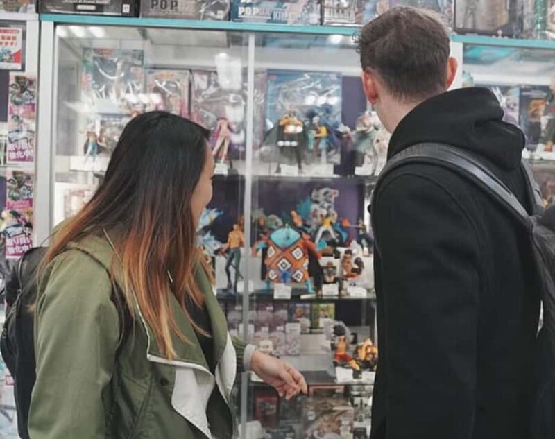 Anime & Manga Lovers Akihabara Tour  Private Tour - A Deep Dive into the Itinerary: What to Expect from This Tour  